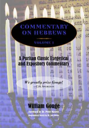 Commentary on Hebrews: Exegetical & Expository - Vol. 1 (PB) de Peter Masters