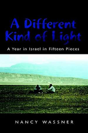 A Different Kind of Light de Nancy Wassner