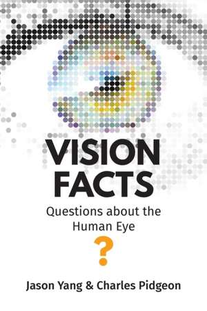 Vision Facts de Jason Yang