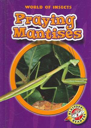 Praying Mantises de Colleen A. Sexton