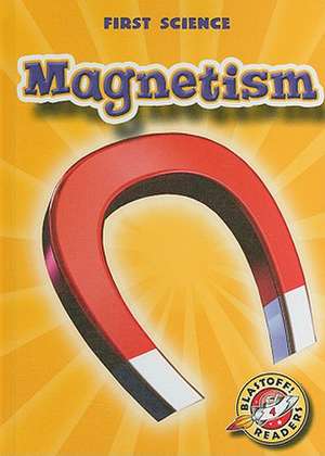 Magnetism de Mari C. Schuh