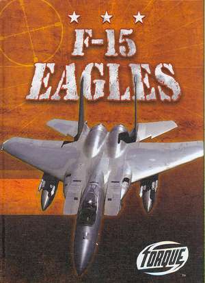 F-15 Eagles de Jack David