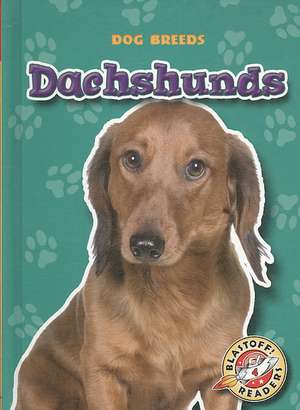 Dachshunds de Sara Green