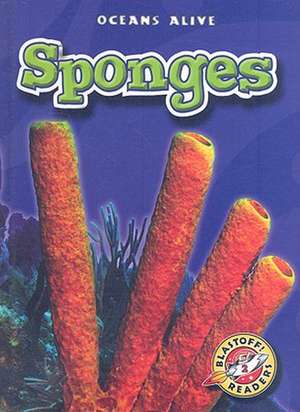 Sponges de Colleen A. Sexton