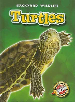 Turtles de Emily Green