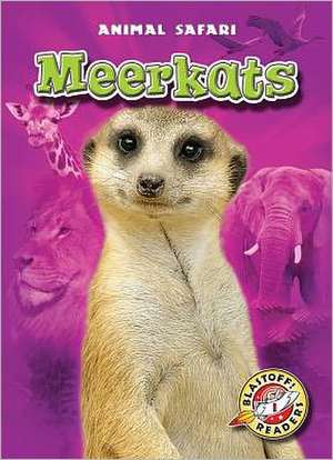 Meerkats de Kari Schuetz