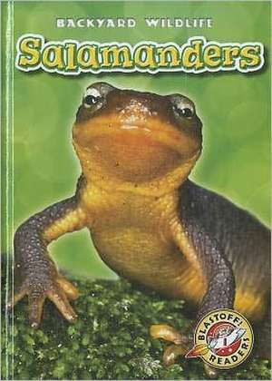 Salamanders de Megan Borgert-Spaniol