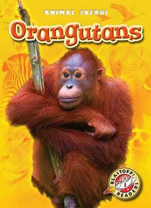 Orangutans de Megan Borgert-Spaniol