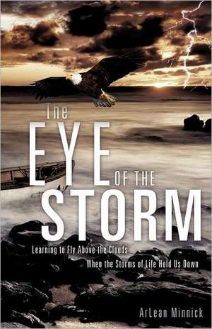 The Eye of the Storm de ArLean Minnick