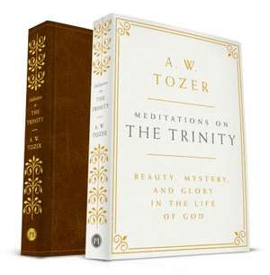 Meditations on the Trinity de A. W. Tozer