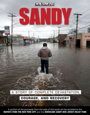 Sandy: A Story of Complete Devastation, Courage, and Recovery de New York Post