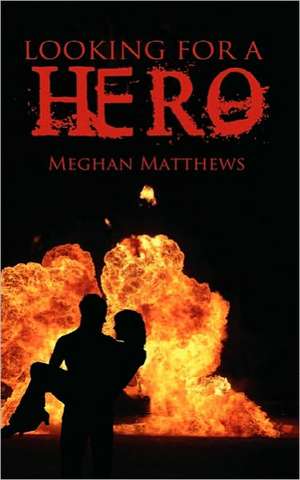 Looking for a Hero de Meghan Matthews