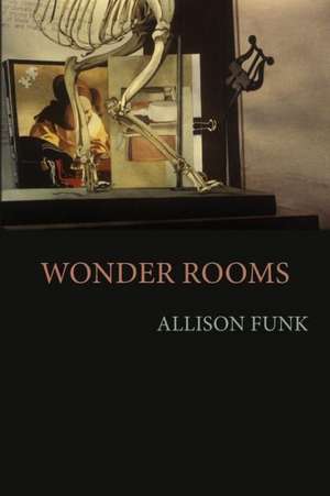 Wonder Rooms de Allison Funk