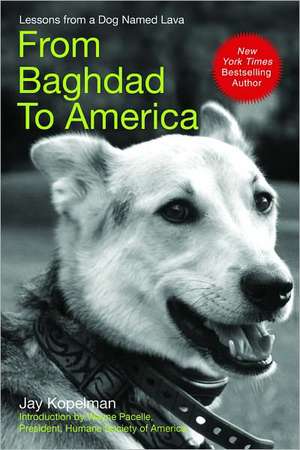 From Baghdad to America: Life After War for a Marine and His Rescued Dog de Jay Kopelman