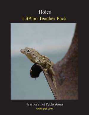 Litplan Teacher Pack de Marion B. Hoffman