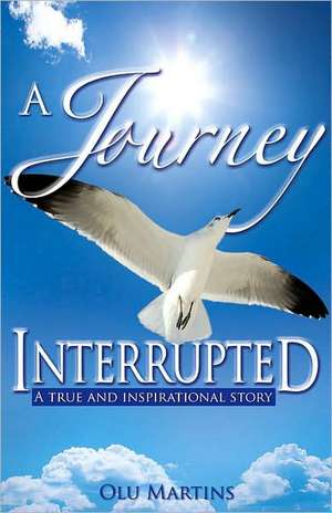 A Journey Interrupted de Olu Martins