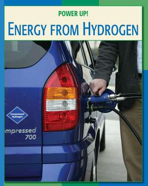 Energy from Hydrogen de David Lippman