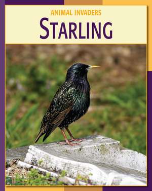 Starling de Susan Heinrichs Gray