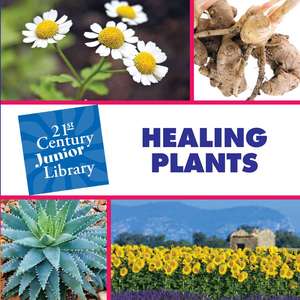 Healing Plants de Pam Rosenberg