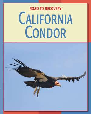 California Condor de Susan H. Gray