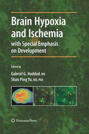 Brain Hypoxia and Ischemia de Gabriel G. Haddad