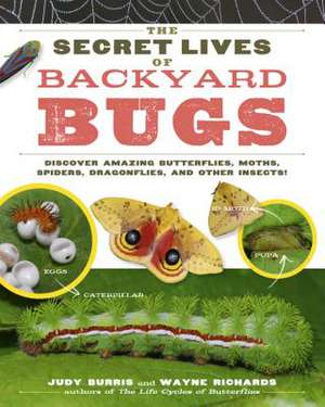 The Secret Lives of Backyard Bugs: Discover Amazing Butterflies, Moths, Spiders, Dragonflies, and Other Insects! de Judy Burris