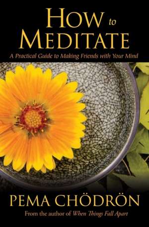 How to Meditate de Pema Chodron