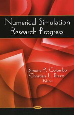 Numerical Simulation Research Progress de Simone P. Colombo