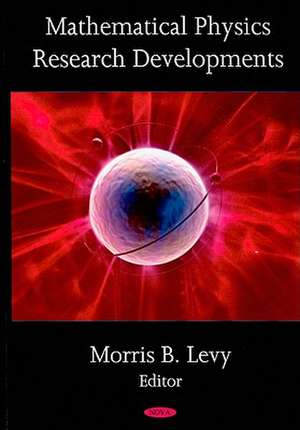 Mathematical Physics Research Developments de Morris B. Levy