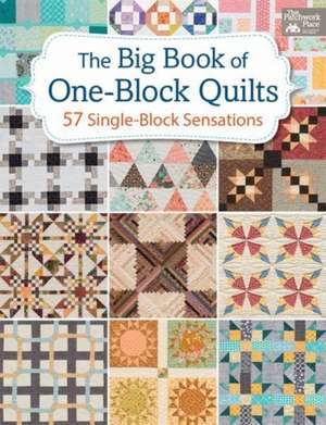 The Big Book of One-Block Quilts de That Patchwork Place