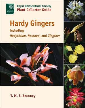 Hardy Gingers: Including Hedychium, Roscoea, and Zingiber de T. M. E. Branney