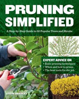 Pruning Simplified de Steve Bradley