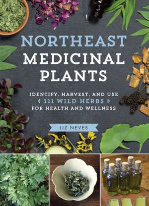 Northeast Medicinal Plants de Liz Neves