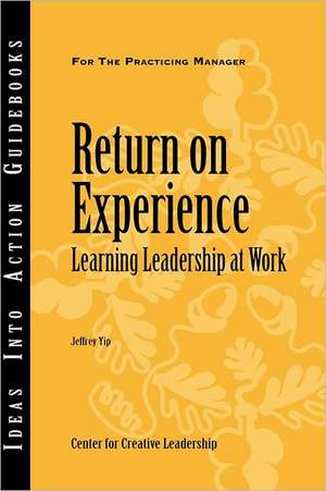 Return on Experience de Jeffrey Yip