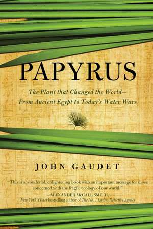 Papyrus de John Gaudet