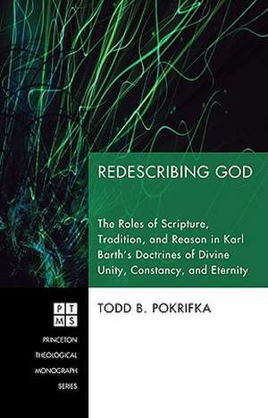 Redescribing God de Todd Pokrifka