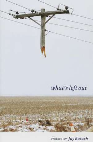 What's Left Out de Jay Baruch