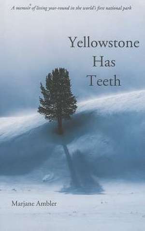 Yellowstone Has Teeth de Marjane Ambler