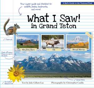 What I Saw in Grand Teton de Julie Gillum Lue