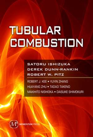 Tubular Combustion de Satoru Ishizuka