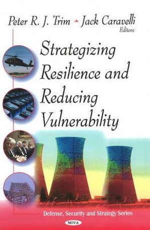 Strategizing Resilence and Reducing Vulnerability de Dr. Peter R. J. Trim