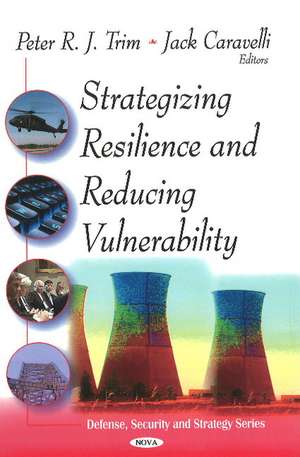 Strategizing Resilence & Reducing Vulnerability de Peter R J Trim