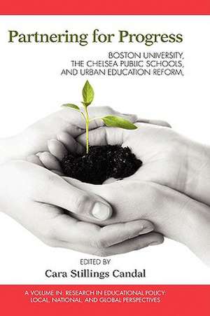 Partnering for Progress de Cara Stillings Candal