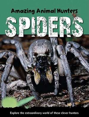 Spiders de Sally Morgan