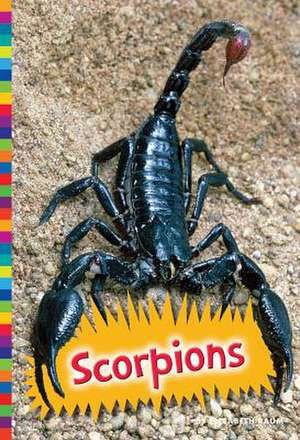 Raum, E: Scorpions