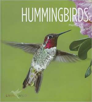 Hummingbirds de Melissa Gish