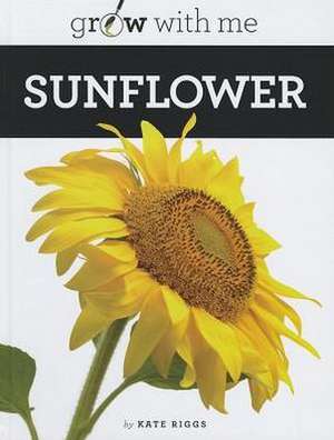 Sunflower de Kate Riggs