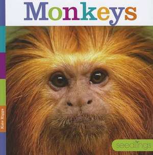 Monkeys de Kate Riggs