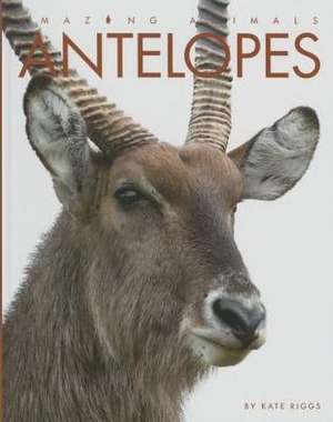 Antelopes de Kate Riggs