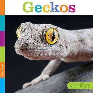 Geckos de Kate Riggs